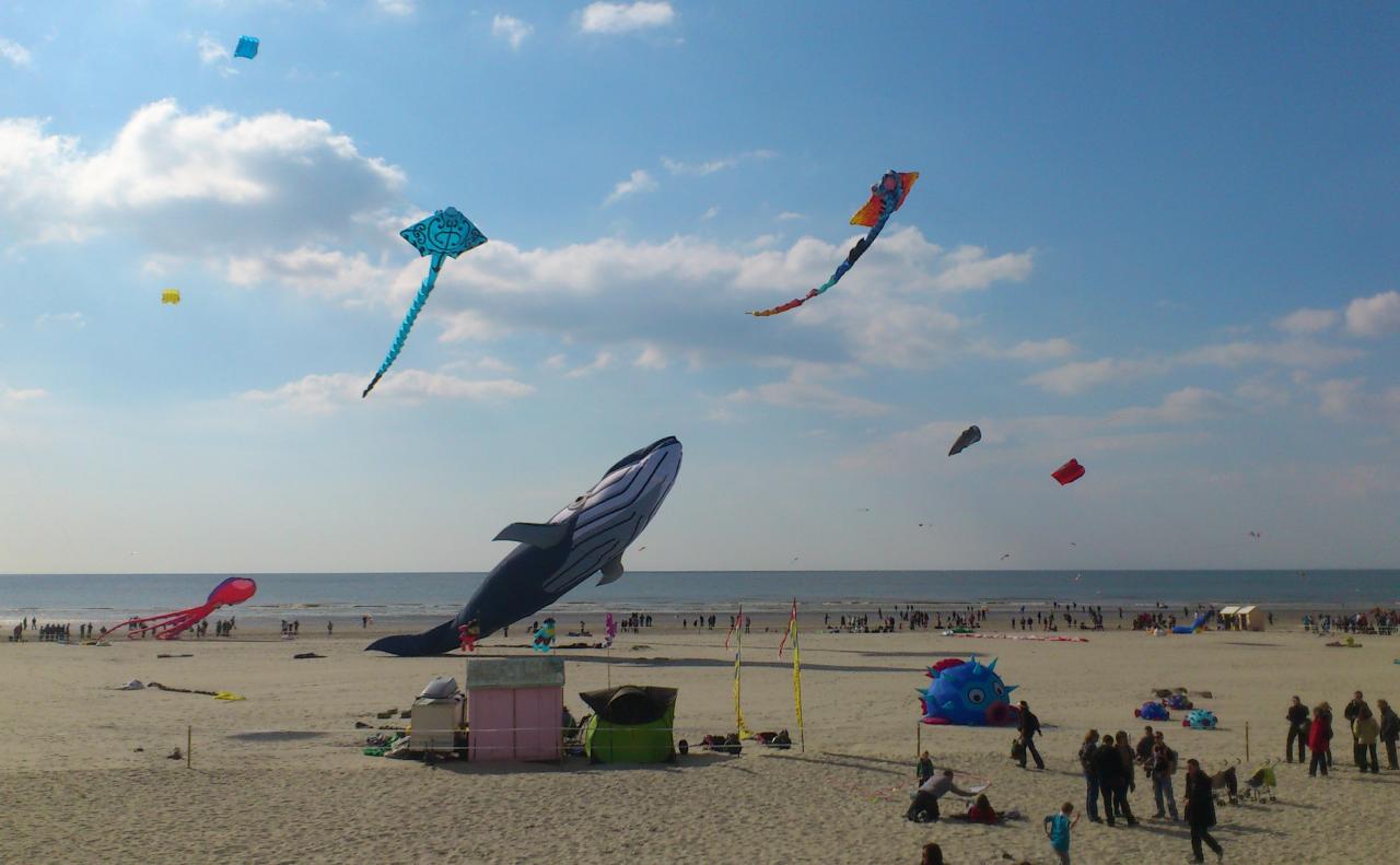 Les Rencontres Internationales de Cerfs-Volants se tiennent chaque année à Berck-sur-Mer