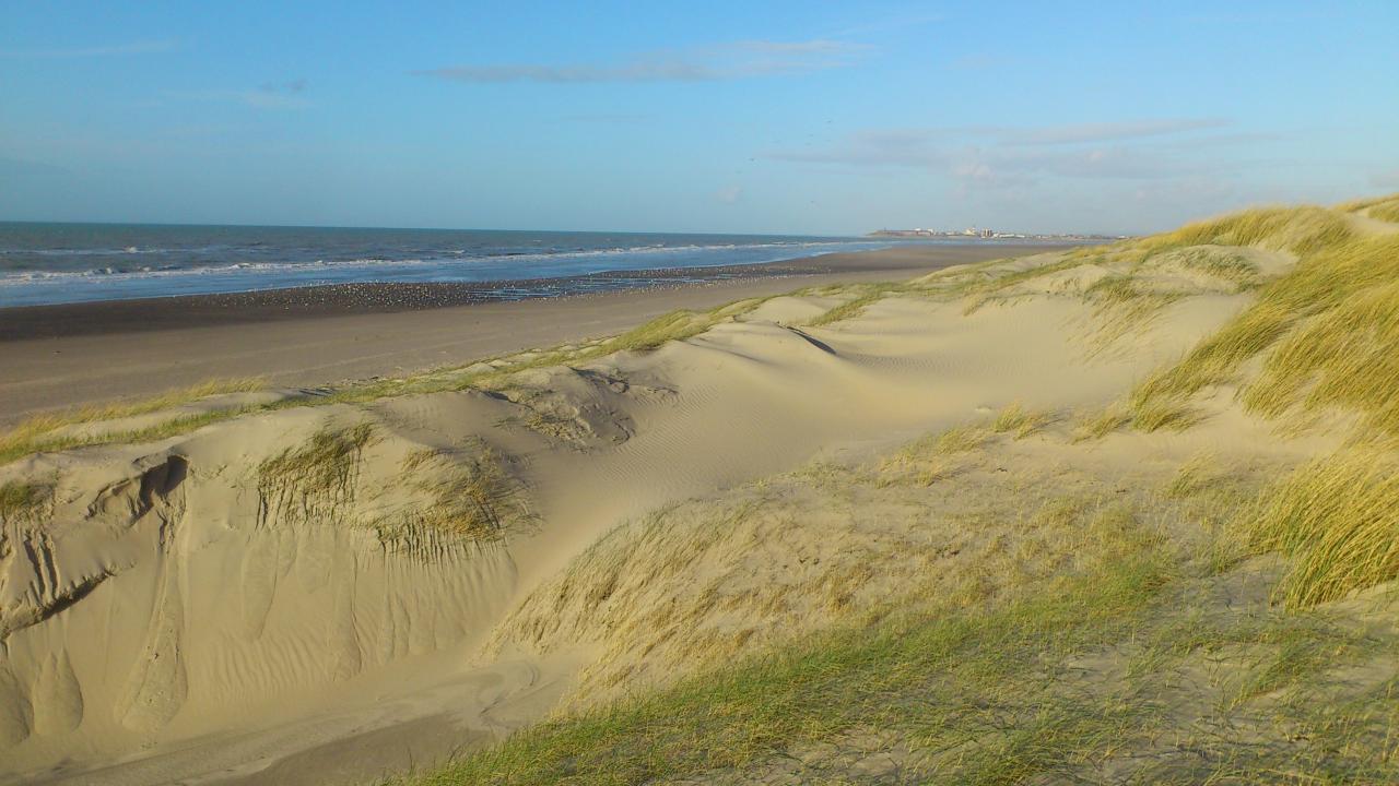 Dans les dunes de la Baie de Somme