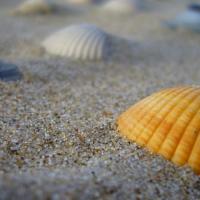 Profitez des beautés de la plage, à seulement un kilomètre d'AFL