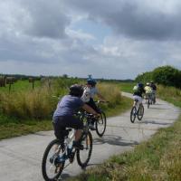 Profitez des kilomètres de piste cyclable pour découvrir la région à vélo